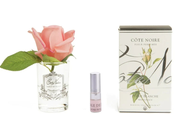 CÔTE NOIRE - PERFUMED NATURAL TOUCH ROSE BUD - FROST - WHITE PEACH