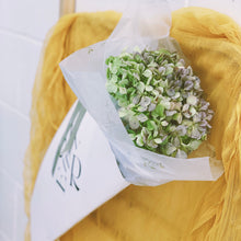 Load image into Gallery viewer, Dried Hydrangea in Carry Bag (Seasonal Limited Edition)
