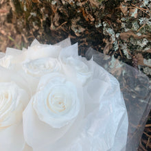 Load image into Gallery viewer, Preserved Rose Bouquet- White Rose
