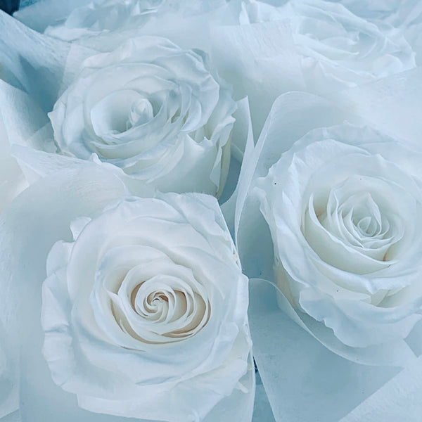 Preserved Rose Bouquet- White Rose